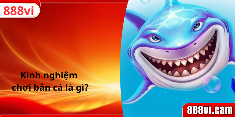 Kinh nghiệm chơi bắn cá là gì?