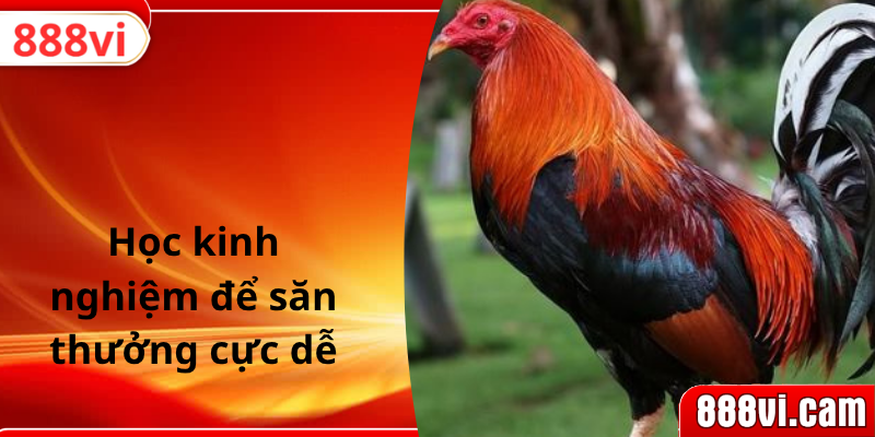 Học kinh nghiệm để săn thưởng cực dễ