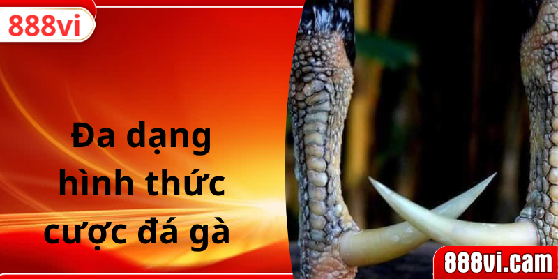 Đa dạng hình thức cược đá gà
