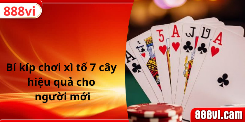 Bí kíp chơi xì tố 7 cây hiệu quả cho người mới