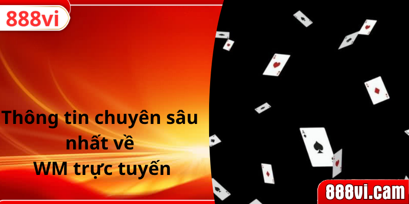 Thông tin chuyên sâu nhất về WM trực tuyến